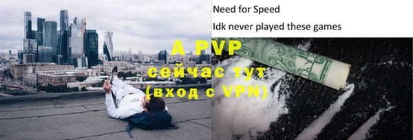 крисы Вязьма