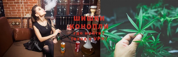 крисы Вязьма