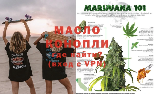 амф Вяземский