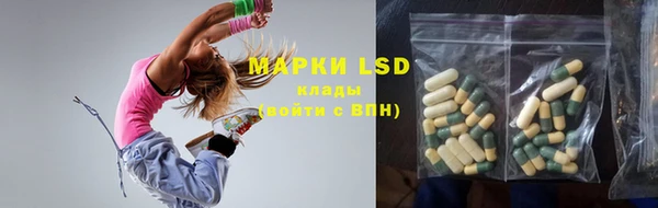 амф Вяземский