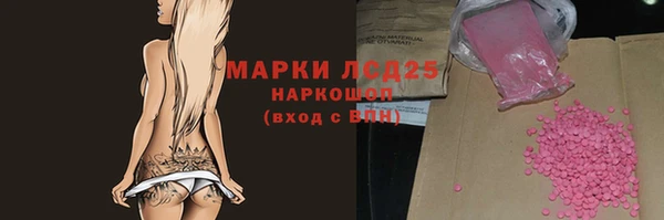 амф Вяземский