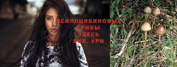 амф Вяземский