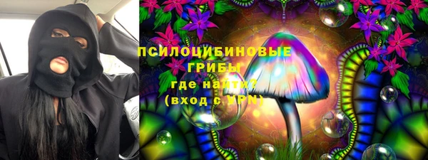 амф Вяземский