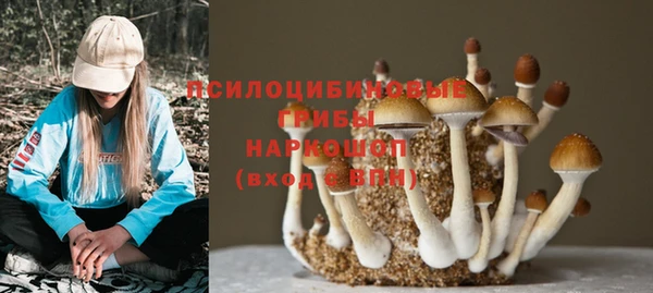 крисы Вязьма