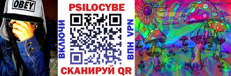 Галлюциногенные грибы мицелий  Черняховск 